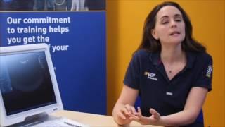 Hannah handy hints - Preparing your patient for small animal ultrasound