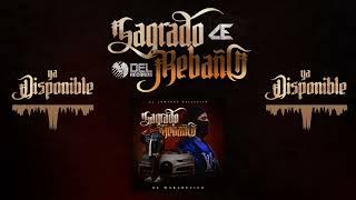 Sagrado Rebaño (Audio Oficial) - El Makabelico - Del Records 2024