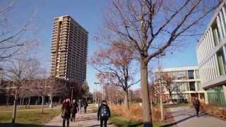 Liberal Arts and Sciences at UIC: Are you in?