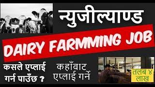 How to Apply Dairy Farming Job New Zeland | New Zeland Dairy Farming Visa from Nepal | Europe Jobs