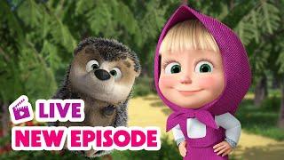  LIVE STREAM  Masha and the Bear  New Episode 