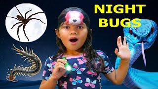 Nighttime Bug Hunt In Winter Time With Zoe and Daddy Spiders Frogs Worms Real Bugs!