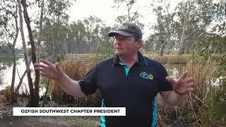 Electrofishing For Carp in the Glenelg River