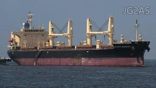 Shipspotting Japan - MV ATLANTIC BUENAVISTA バラ積み船 Bulk carrier 2020AUG