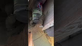 Removing a Wasps Nest With Gas