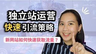 独立站运营：新网站如何快速获取流量？｜跨境电商｜网站运营