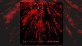 Caelid - The Noctilucent Glow of Sinister Fire (Full Album)