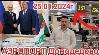 25.06.2024г АЭРОПОРТ ДОМОДЕДОВО ХАБАРИ МУХИМ УРАЛЬСКИЙ КАМПАНИЯ ️️️️