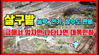 급매물 경북부동산 살구밭 과수원매매 촌땅매매 시골땅매매 토지매매 농막토지 주말농장 텃밭 포항부동산 포항토지매매 포항땅매매 기계면 남계리  #착한부동산tv