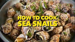 How To Cook Sea Snails