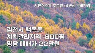 김천시 백옥동 샤인머스켓 포도밭 샤인머스켓 포도나무 4년생 · 비가림 · 800평 · 계획관리지역 · 평당 매매가 22만원