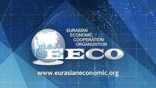Евразийская Организация Экономического Сотрудничества (ЕОЭС)