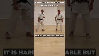 Seishan Kata: Exploding into Tate Seishan