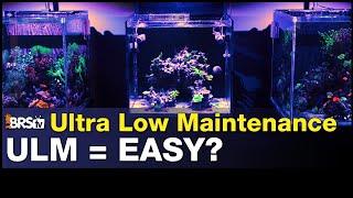 Can a reef tank be easy? How low maintenance can we get?