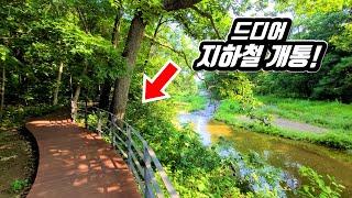 I go trekking to UNESCO Biosphere Reserve by subway in Korea