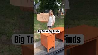 Big Trash Day finds! Came for a dresser and left with a dress #shorts #shortsviral #trash #wow #wtf