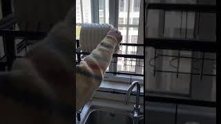 Stainless Steel Drain Rack