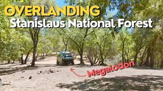 Exploring the Wild Side: Overlanding in Stanislaus National Forest