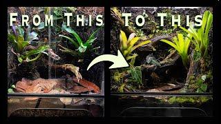 Vivarium Overhaul!!