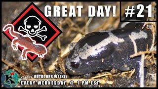 Salamander Herping in Virginia (It was cold!) | KNOW #21