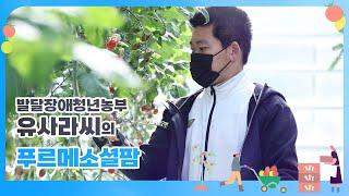 발달장애청년농부 유사라씨의 푸르메소셜팜 | 푸르메재단