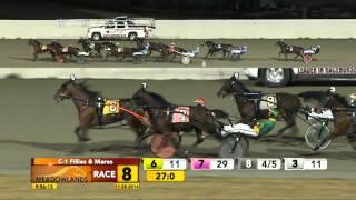 Meadowlands November 28, 2014 - Race 8 - That Woman Hanover