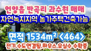 (2309*05)언양읍 반곡리 과수원매매합2억7천만️면적1,534m² 464" 시설모두갖춤 수확중️