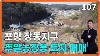 포항토지 대송면 장동리 주말농장용 토지 297평 매매 | 107