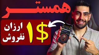 همستر 1 دلاری ممکنه ؟ اوج قیمتی همستر کمبت چقدر خواهد بود؟ ( ارزان نفروشی!)