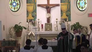 Catholic Mass Live Stream-2nd Sunday In Ordinary Time-January 19, 2025