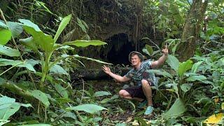 Searching for Dart Frogs in Bocas Del Toro Panama