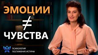 Эмоции и чувства: в чем принципиальная разница?