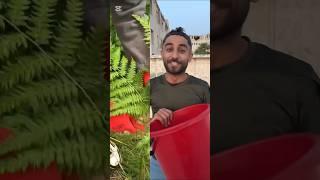 ضرب ازعر الحارة #shorts