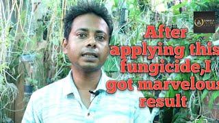 এই fungicide বর্ষাকালে ব্যবহারকরলে অর্কিড নিয়ে কোনো চিন্তা থাকবে নাBest fungicide for orchidmonsoon