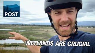 Explore Wetlands | Minute with Matt