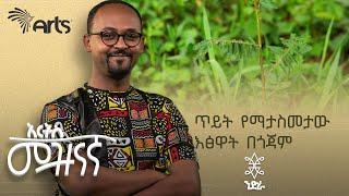 ጥይት የማታስመታው እፅዋት በጎጃም | ንድራ | አርትስ መዝናኛ @ArtsTvWorld