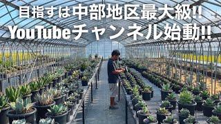 アガベの店"T Plants Labo"の新しい挑戦!!YouTubeチャンネル開設しました!!