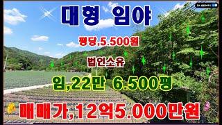 물번,530번) 중대형 임야,226.500평 평당,5.500원 몽땅,12억5.000만원에 매매합니다,농림지역부터~임업용산지,보전산지등~15필지로 되여 있습니다,