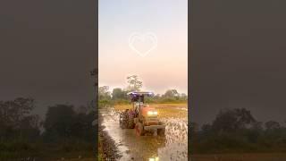 Mola Kaise Kaise Lage Re Cg Song Reels / #shorts #viralshorts #cg