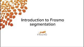 Introduction to Frosmo segmentation