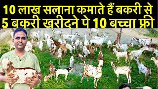 Goat farming॥Goat farming business plan॥How to start goat farming business