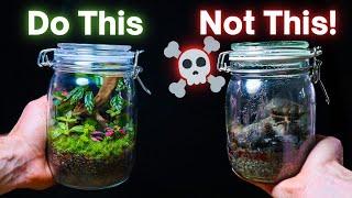 10 ESSENTIAL Terrarium Tips For Beginners!