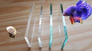 Acrylic Vs. Low Iron Glass Vs. Regular Glass Aquarium