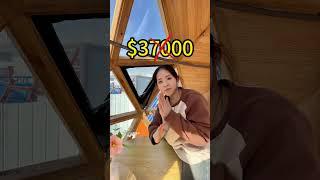 #tiny #houses #capsules