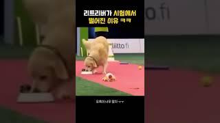 시험에서 떨어진 이유