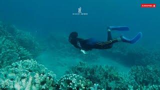 MOMENTS under the SEA I APNEA FREE DIVING I Philippines