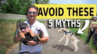 5 Myths About Training Dogs