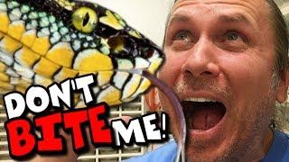 HOW TO UNPACK VENOMOUS SNAKES!!!! INSANELY COOL SNAKE COLLECTION! | BRIAN BARCZYK