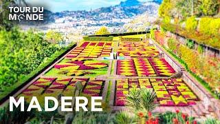 MADERE : fabuleuse île Jardin au cœur de l'Atlantique l PORTUGAL l Jardins d'ici et d'ailleurs - BT