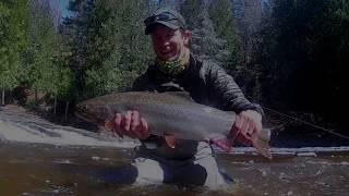 Fly Fishing for Lake Superior Steelhead